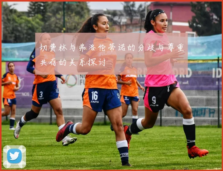 切费林与弗洛伦蒂诺的分歧与尊重共存的关系探讨