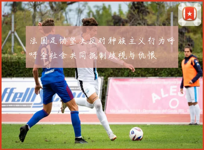 法国足协坚决反对种族主义行为呼吁全社会共同抵制歧视与仇恨